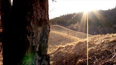 Голая Силье Рейномо в фильме «Хвост» фото #24