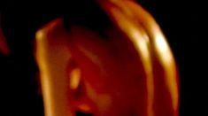 Голая Синди Рид в фильме «Священная плоть» фото #5