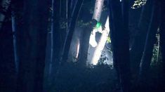 Голая Синед МакКафферти в фильме «Когда Земля остановилась» фото #1