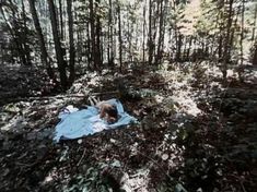 Голая Сьюзен Сарандон в сериале «Ученик» фото #7