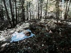 Голая Сьюзен Сарандон в сериале «Ученик» фото #8