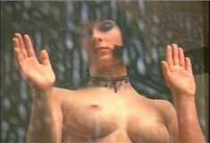 Голая Сьюзэн Энн Уолл в фильме «Дешевый трепет» фото #12