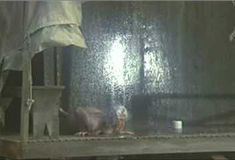 Голая Сэлли Келлермен в фильме «Военно-полевой госпиталь М.Э.Ш.» фото #8