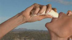 Голая Табита Тейлор в фильме «Карманная девушка тоже довольно круто» фото #2