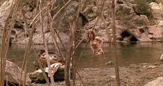 Голая Таня Робертс в фильме «Повелитель зверей» фото #3