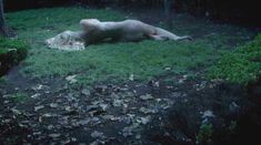 Голая Хелена Мэттссон в фильме «Особь. Пробуждение» фото #2