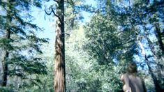 Голая Черил Лойн в фильме «Беги, сука, беги!» фото #5