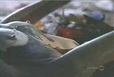 Голая Шерил Поллак в фильме «Без всяких условий» фото #4