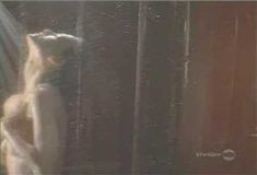 Голая Шерил Поллак в фильме «Без всяких условий» фото #13