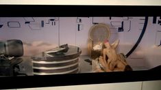 Голая Элли Хэйз в фильме «Сверхъестественная сексуальная активность Эммануэль» фото #31