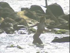 Голая Юлия Маярчук в фильме «Дримс» фото #16