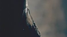 Голая Юлия Маярчук в фильме «Нахал» фото #77