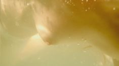 Голая Ютта-Мерле Бёрнсен в фильме «Ночная красавица» фото #6