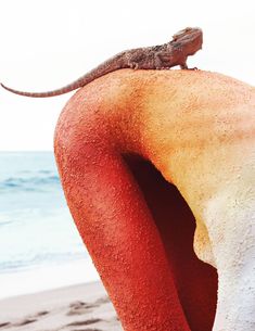 Сексуальное тело Констанс Яблонски в журнале Numero фото #5