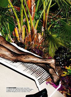 Обнажённое тело Элизабетта Каналис сквозь прозрачный наряд в журнале Max фото #4