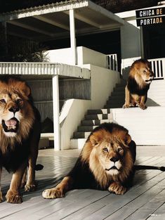 Келли Брук на страницах журнала  FHM фото #3