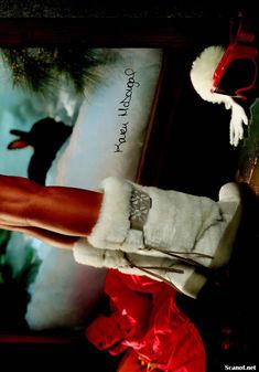 Карен МакДугал обнажилась  в журнале Playboy фото #10