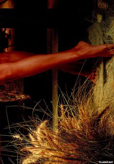 Хайди Марк разделась в журнале Playboy фото #7