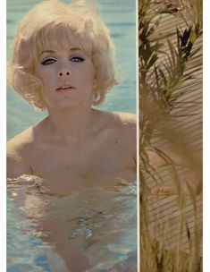 Красивая Стелла Стивенс снялась голой в журнале Playboy фото #5