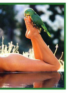 Бо Дерек оголилась в журнале Playboy фото #13