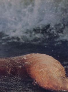 Обнаженная Розанна Аркетт  в журнале Playboy фото #13