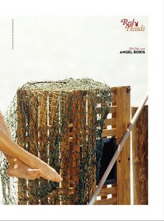 Красотка Энджел Борис снялась обнажённой в журнале Playboy Red Heads фото #2