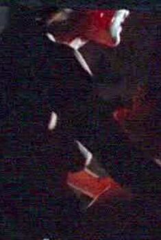 Голая Сара Энн Моррис в фильме «Боги и монстры», 1998