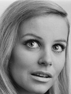 Фелисити Девоншир