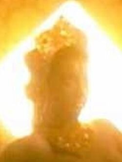 Теган Мейер