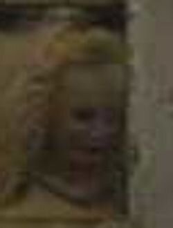 Голая Сильвия Элан